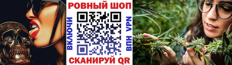 МЕФ Орёл