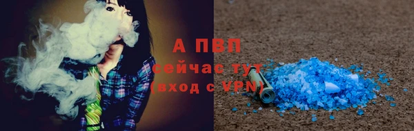 ПСИЛОЦИБИНОВЫЕ ГРИБЫ Инта