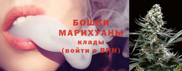 ПСИЛОЦИБИНОВЫЕ ГРИБЫ Инта