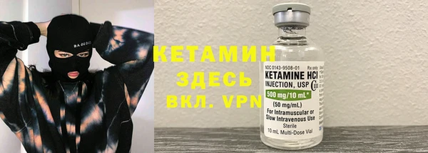 ПСИЛОЦИБИНОВЫЕ ГРИБЫ Инта