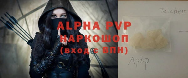 ПСИЛОЦИБИНОВЫЕ ГРИБЫ Инта
