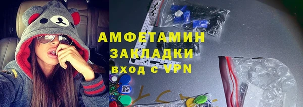 ПСИЛОЦИБИНОВЫЕ ГРИБЫ Инта